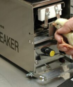 AVI BEAKER debicador automático de aves