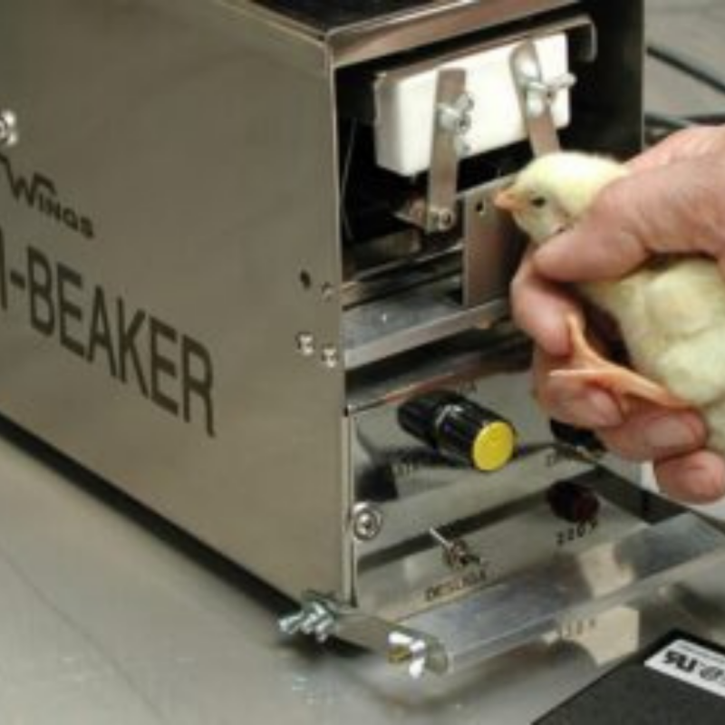 AVI BEAKER debicador automático de aves